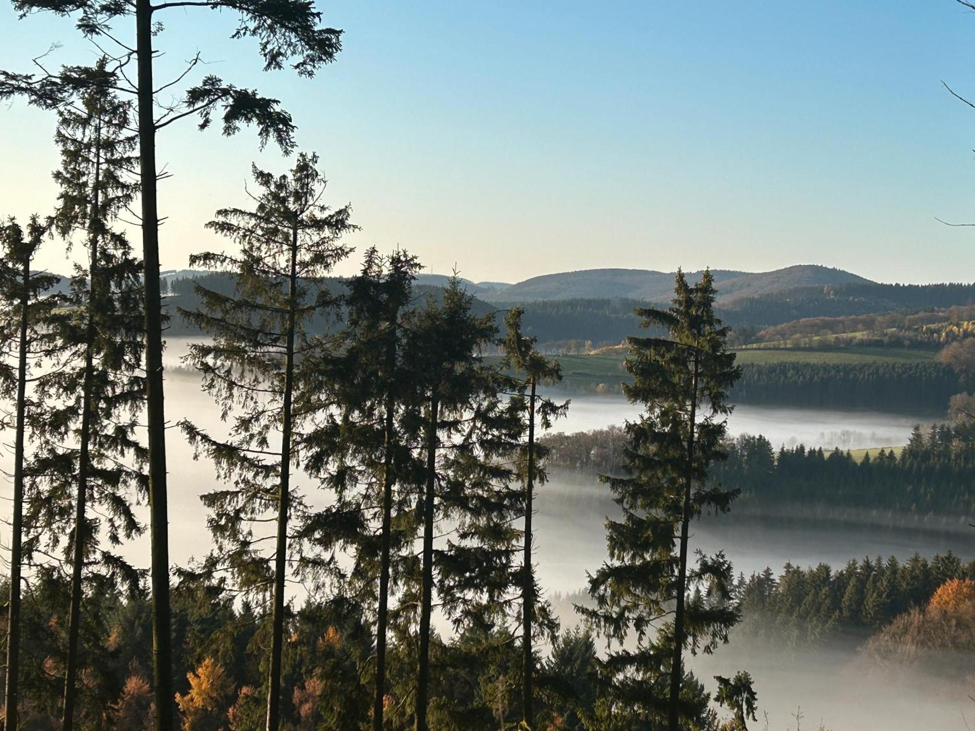 Vila Haus Waldesruh Medebach Exteriér fotografie