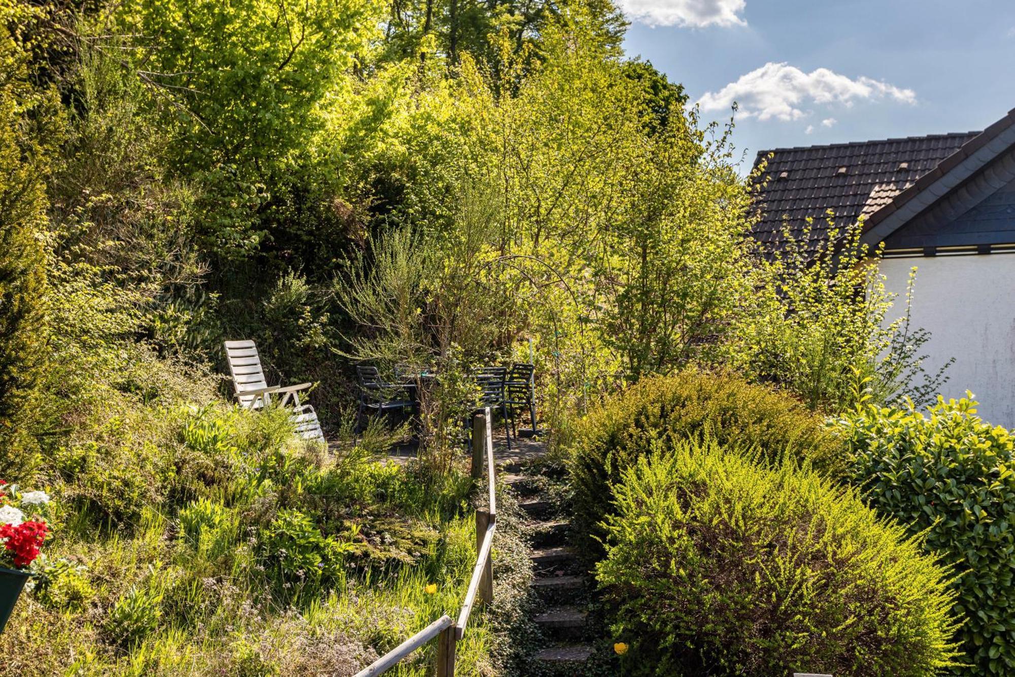Vila Haus Waldesruh Medebach Exteriér fotografie